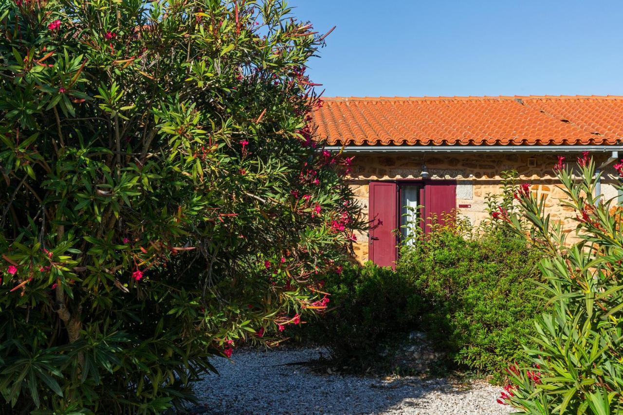Carragozela Quinta Do Chao Da Vinhaヴィラ エクステリア 写真