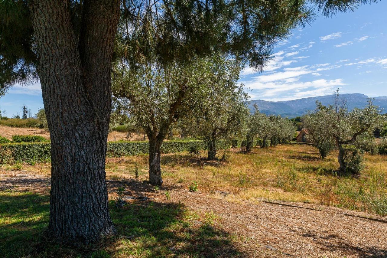 Carragozela Quinta Do Chao Da Vinhaヴィラ エクステリア 写真