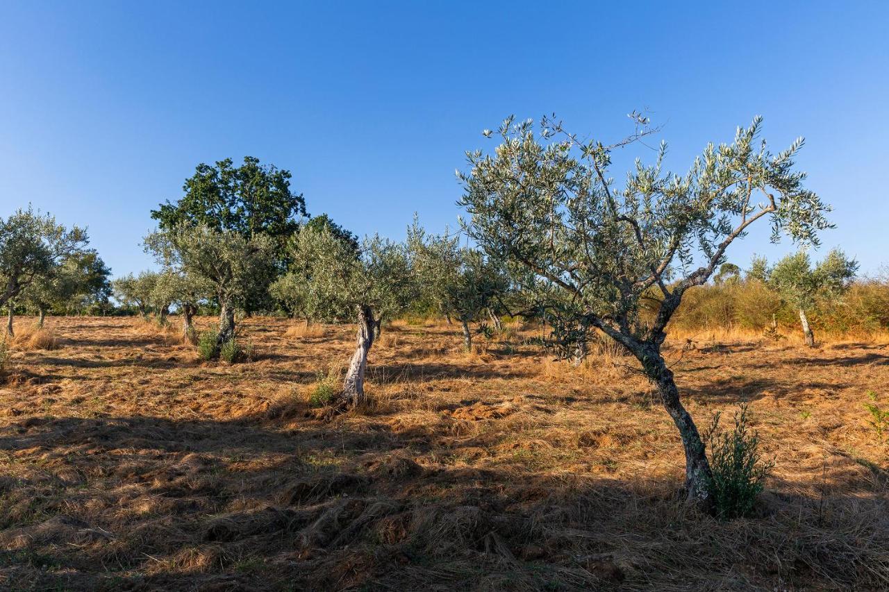 Carragozela Quinta Do Chao Da Vinhaヴィラ エクステリア 写真