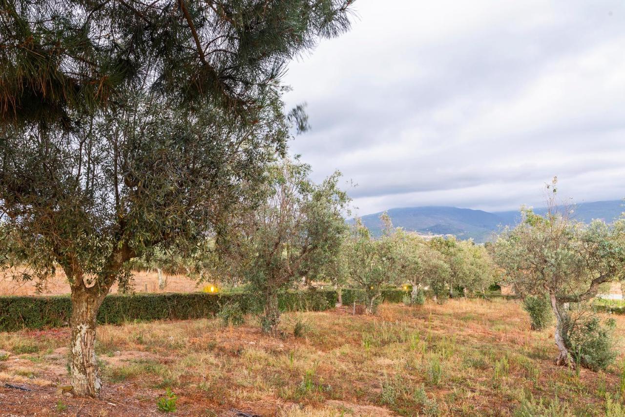 Carragozela Quinta Do Chao Da Vinhaヴィラ エクステリア 写真