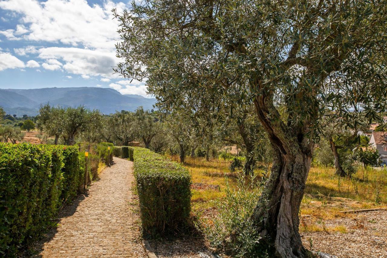 Carragozela Quinta Do Chao Da Vinhaヴィラ エクステリア 写真
